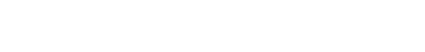 AIS White Logo